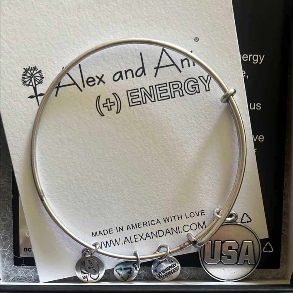 Alex and Ani Silver Charm Bracelet